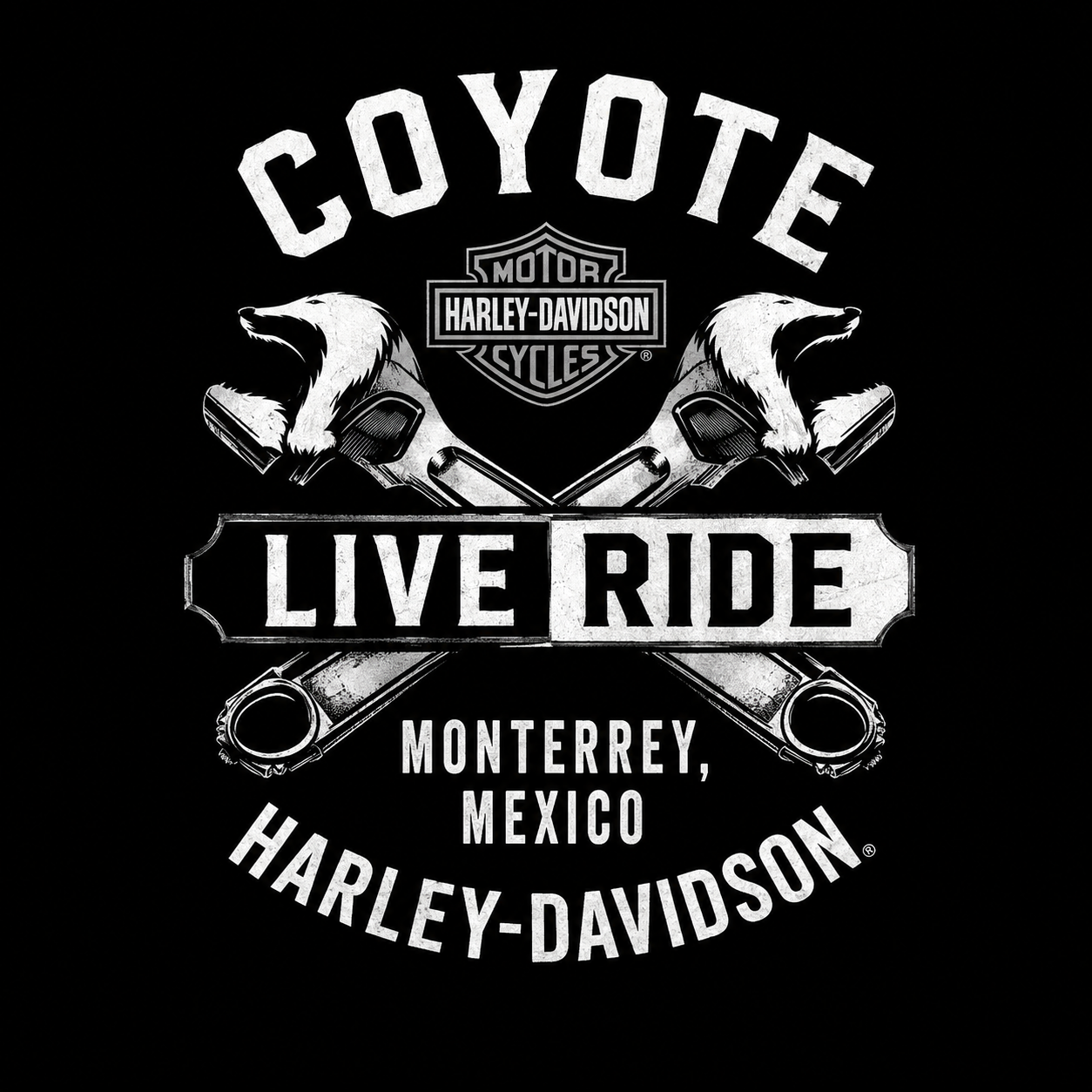 PLAYERA COYOTE 40294601